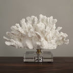 Nordwood White Reef Sculpture